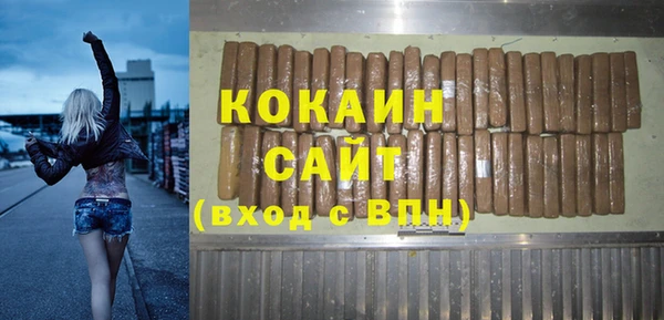 бошки Бородино