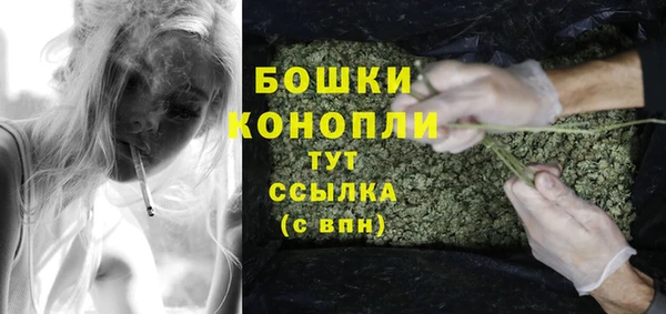 бошки Бронницы